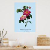 Rosa gallica, Pierre Joseph Redouté Poster (Keuken)
