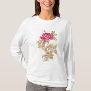 Rosa Gallica Pontiana uit 'Les Rozen' T-shirt