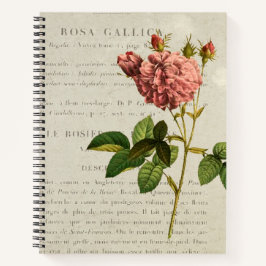 Rosa Gallica Regalis Notitieboek