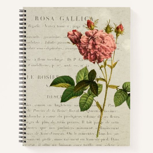 Rosa Gallica Regalis Notitieboek (Voorkant)