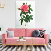Rosa Gallica Regallis Canvas Afdruk (Insitu (Woonkamer))