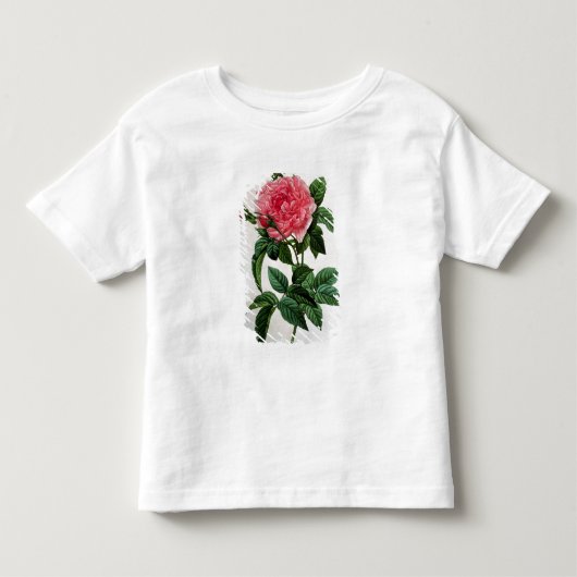 Rosa Gallica Regallis Kinder Shirts (Voorkant)