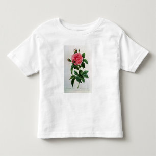 Rosa Gallica Regallis Kinder Shirts