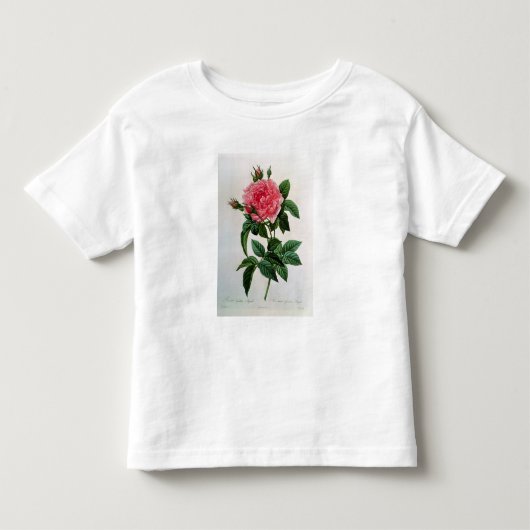 Rosa Gallica Regallis Kinder Shirts (Voorkant)