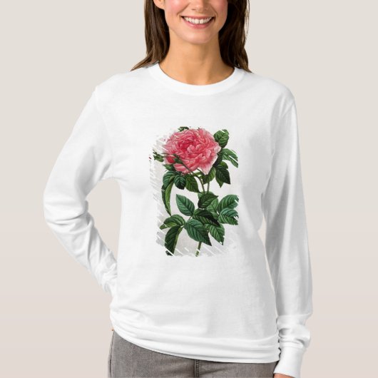 Rosa Gallica Regallis T-shirt (Voorkant)