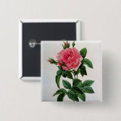 Rosa Gallica Regallis Vierkante Button 5,1 Cm (Voorkant /achterkant)
