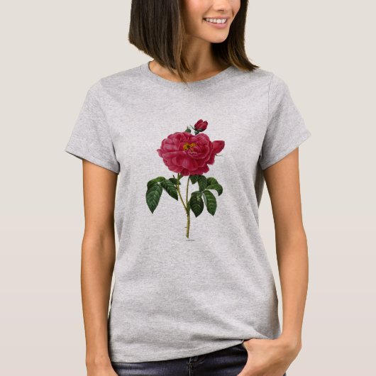 Rosa Gallica T-shirt (Voorkant)