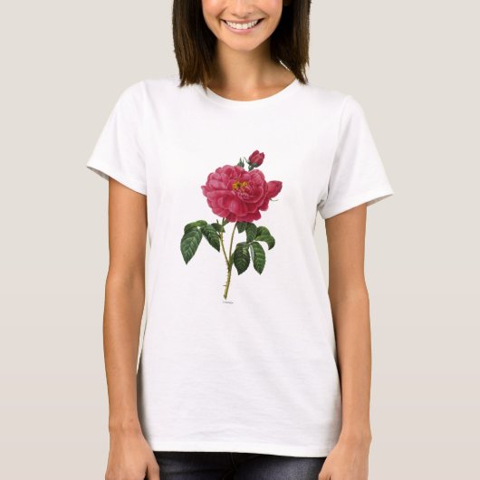 Rosa Gallica T-shirt (Voorkant)