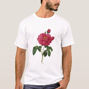 Rosa Gallica T-shirt