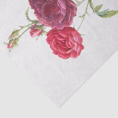 Rosa gallica tissuepapier (Detail)