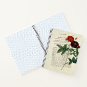 Rosa gallica Van Eeden Gardener Notitieboek (Binnen)