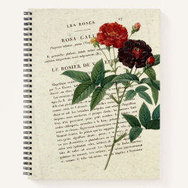 Rosa gallica Van Eeden Tuinier Notitieboek