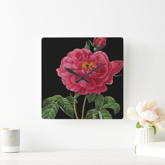 Rosa Gallica Vierkante Klok (Huis)