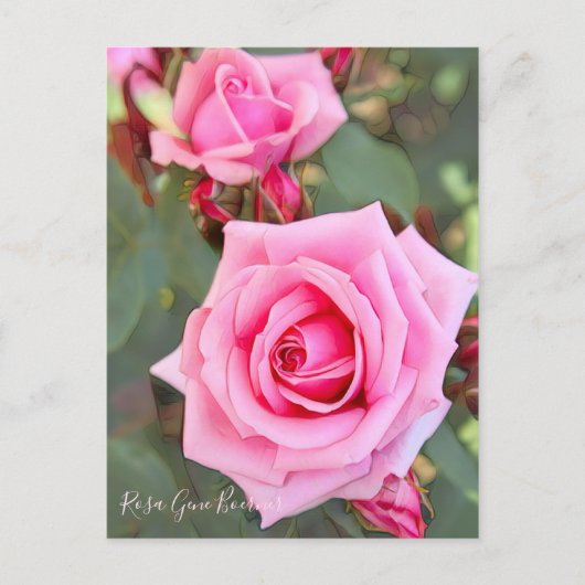 Rosa Gene Boerner (Briefkaart) Briefkaart (Voorkant)