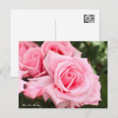 Rosa Gene Boerner (Briefkaart) Briefkaart (Voorkant / Achterkant)