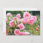 Rosa Gene Boerner: Flat Card (Voorkant)