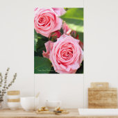 Rosa Gene Boerner [Waarde Poster Papier] (Keuken)