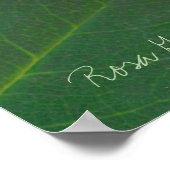 Rosa Gene Boerner [Waarde Poster Papier] (Hoek)