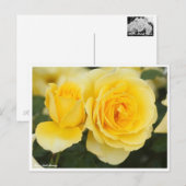 Rosa Gold Bunny Briefkaart (Voorkant / Achterkant)