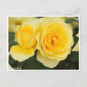 Rosa Gold Bunny Briefkaart (Voorkant)