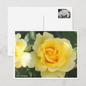 Rosa Gold Bunny Briefkaart (Voorkant / Achterkant)