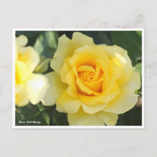 Rosa Gold Bunny Briefkaart