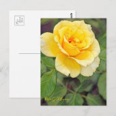 Rosa Gold Bunny (Briefkaart) Briefkaart (Voorkant / Achterkant)