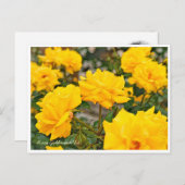 Rosa Goldmarie '84 Briefkaart (Voorkant / Achterkant)