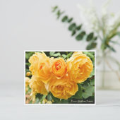 Rosa Graham Tomas Briefkaart (Staand voorkant)