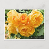 Rosa Graham Tomas Briefkaart (Voorkant)