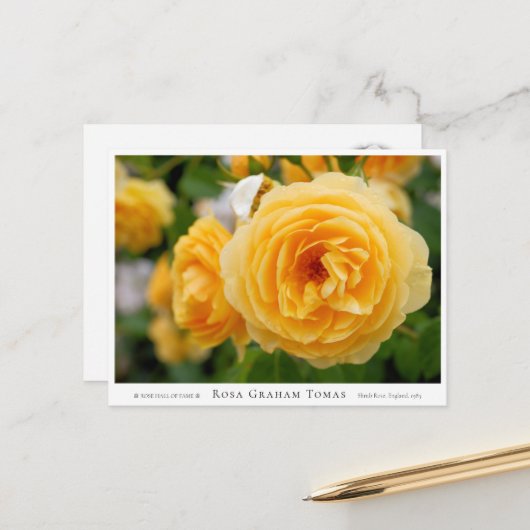 Rosa Graham Tomas Briefkaart (Voorkant / Achterkant in situ)