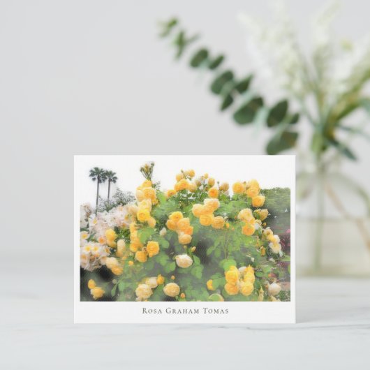 Rosa Graham Tomas Briefkaart (Staand voorkant)