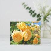 Rosa Graham Tomas (Briefkaart) Briefkaart (Staand voorkant)