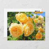 Rosa Graham Tomas (Briefkaart) Briefkaart (Voorkant / Achterkant)