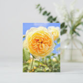 Rosa Graham Tomas (Briefkaart) Briefkaart (Staand voorkant)