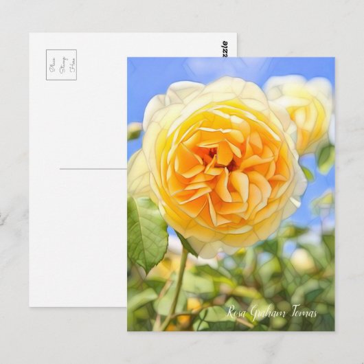 Rosa Graham Tomas (Briefkaart) Briefkaart (Voorkant / Achterkant)