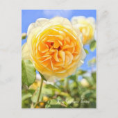 Rosa Graham Tomas (Briefkaart) Briefkaart (Voorkant)