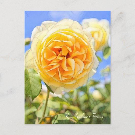 Rosa Graham Tomas (Briefkaart) Briefkaart (Voorkant)