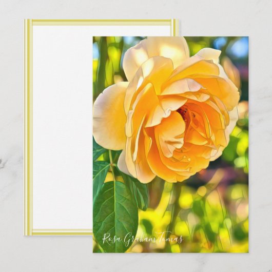 Rosa Graham Tomas: Flat Card (Voorkant / Achterkant)