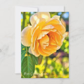 Rosa Graham Tomas: Flat Card (Voorkant)