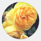 Rosa Graham Tomas Ronde Sticker (Voorkant)
