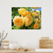 Rosa Graham Tomas [Waarde Poster Papier] (Keuken)