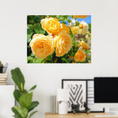 Rosa Graham Tomas [Waarde Poster Papier] (Thuiskantoor)