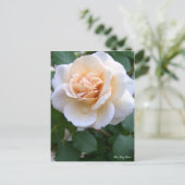 Rosa Gray Pearl [Briefkaart] Briefkaart (Staand voorkant)