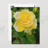 Rosa Happy Child [Briefkaart] Briefkaart (Voorkant / Achterkant)