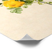 Rosa hemispherica poster (Hoek)