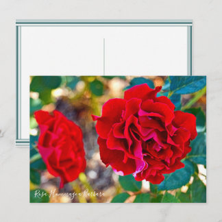 Rosa Hommage a Barbara: Flat Card