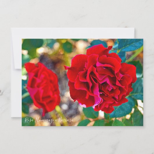 Rosa Hommage a Barbara: Flat Card (Voorkant)