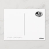 Rosa Iceberg Briefkaart (Achterkant)