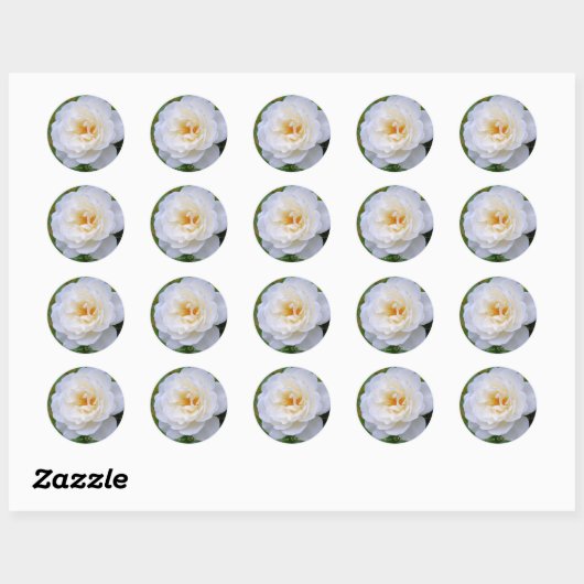 Rosa Iceberg [Round Seal] Ronde Sticker (Vel)